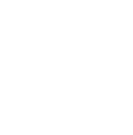 Category product image